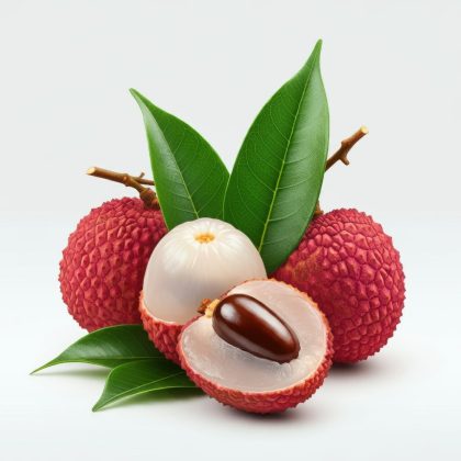 লিচু